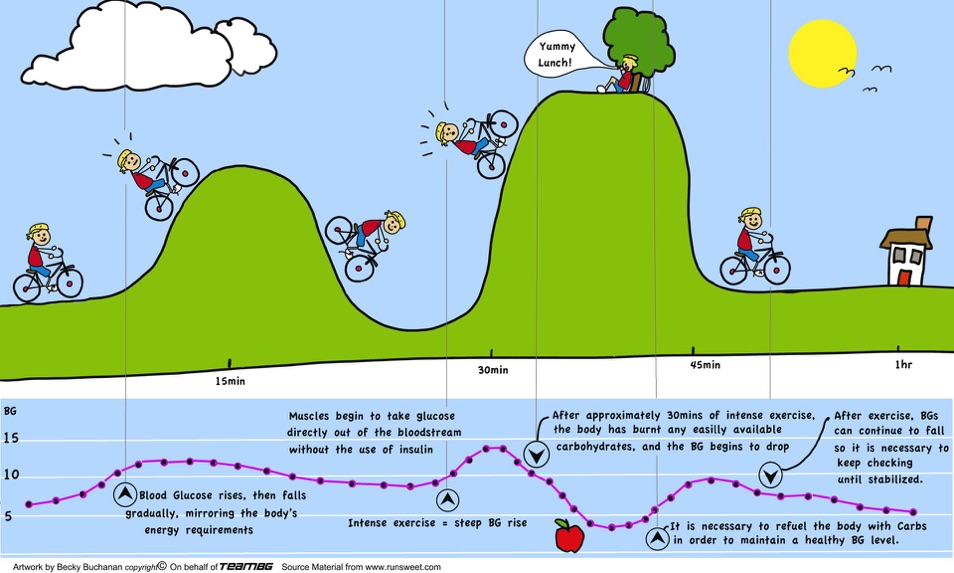 exercise cycle graph2
