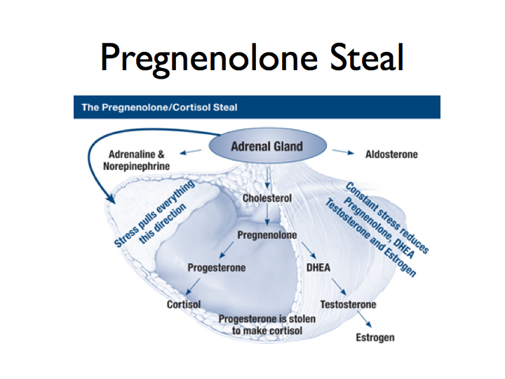 pregnenolone-cortisol-steal
